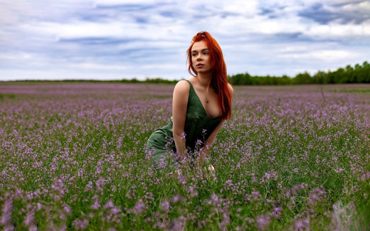 1739950 (a): :1920x1200